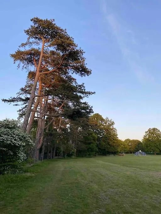 A Cosy Apartment Near Crawley Station/Gatwick Airport